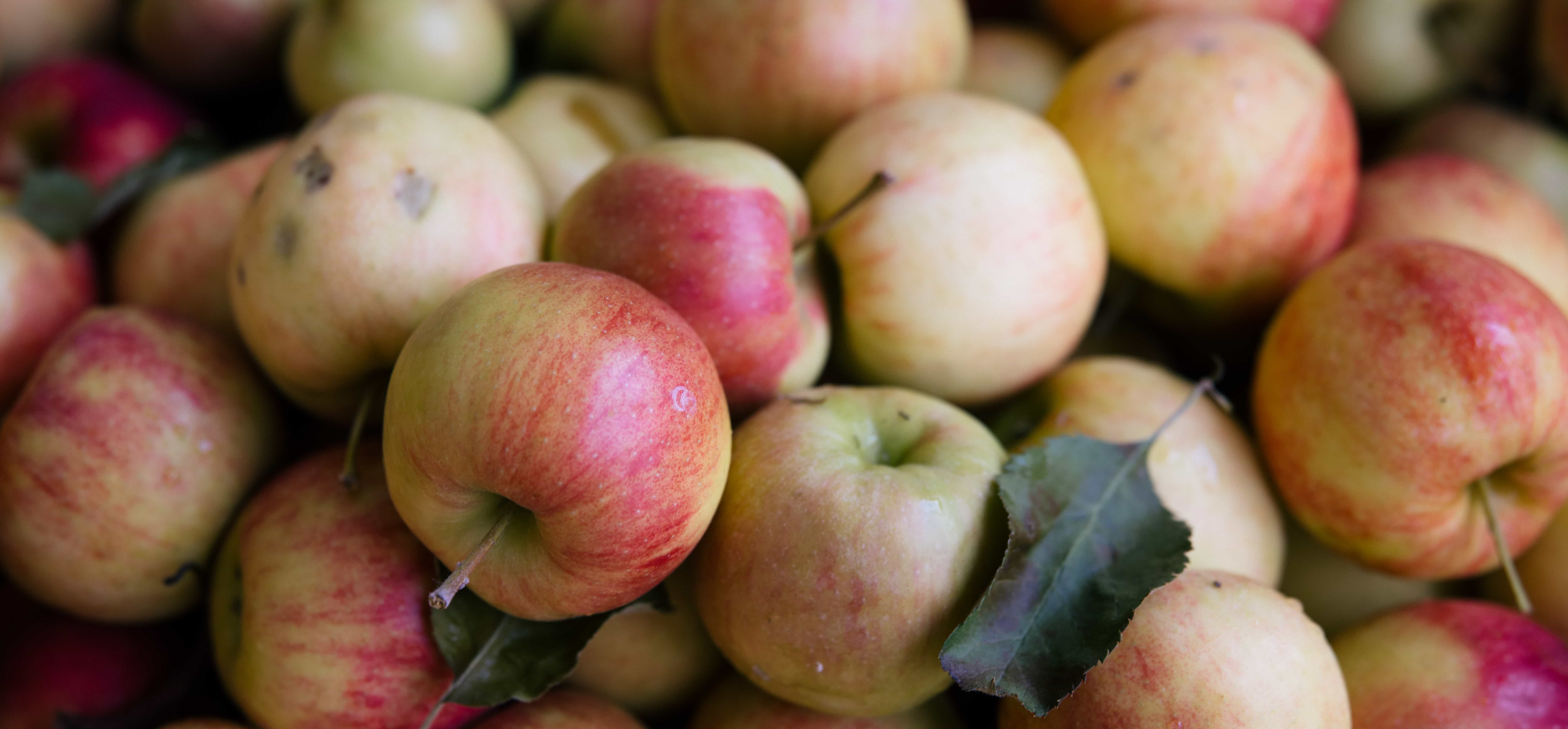 20221025-FANOAtlanta-0018-min