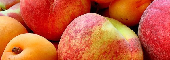 Apricot Apple Salad