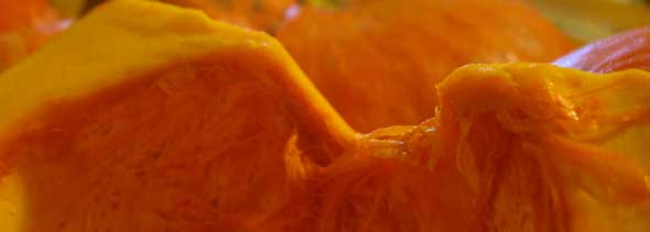 Baked Winter Squash