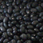 Black Bean Spread