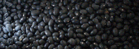 Black Bean Spread