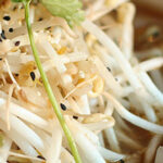 Bok Choy Noodle Bowl