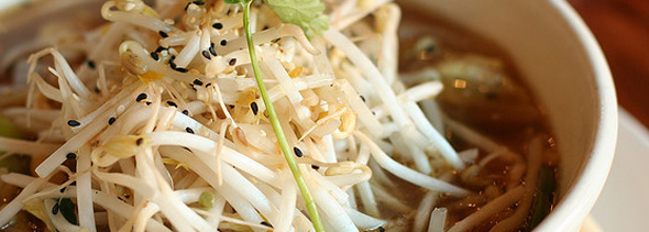 Bok Choy Noodle Bowl