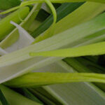Braised Leeks with Lemon