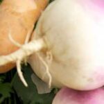 Carrots and Turnips