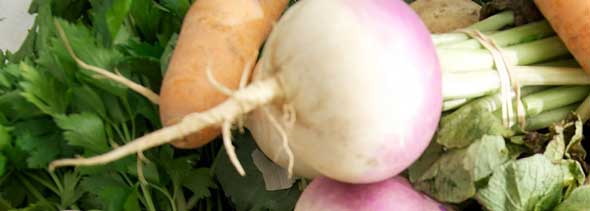 Carrots and Turnips