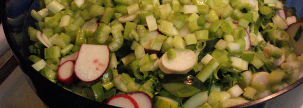 Celery and Radish Salad
