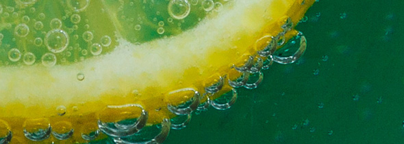 Citrus Splash
