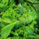 Collard Greens with Spicy Peanut Sauce