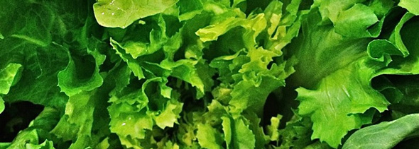 Escarole and Beans