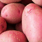 Fiesta Bean and Potato Salad