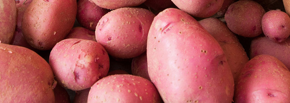 Fiesta Bean and Potato Salad