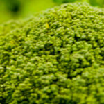 Garlic Broccoli