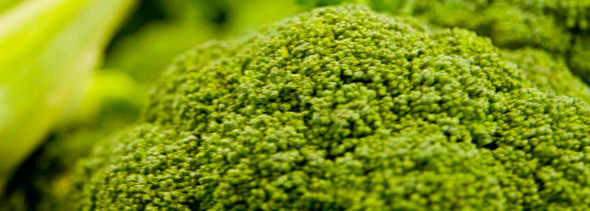 Garlic Broccoli