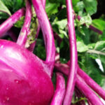 Kohlrabi and Grapefruit Salad