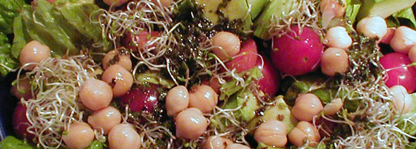 Lettuce and Chickpea Salad