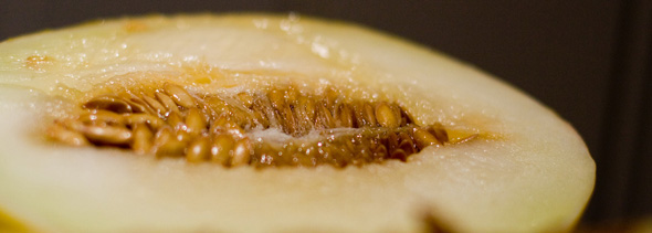 Nectar Glazed Honeydew