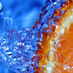 Fruit Infused Water: Orange Cranberry Cooler