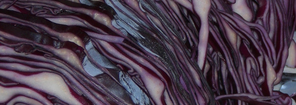Pan roasted brussels sprouts with red cabbage