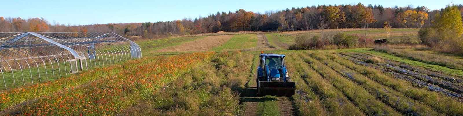 Patroon Land Farm