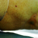 Pear Chutney