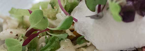 Savoy Cabbage Slaw