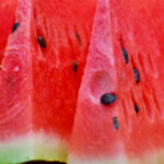 Fruit Infused Water: Watermelon and Jalapeno