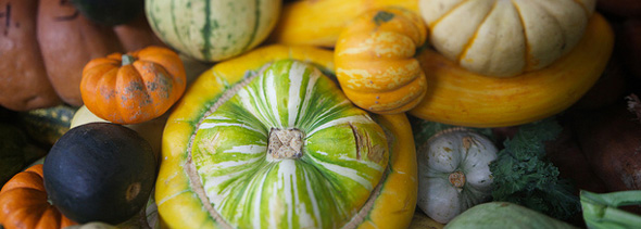 Winter Squash with Apple Juice Glaze